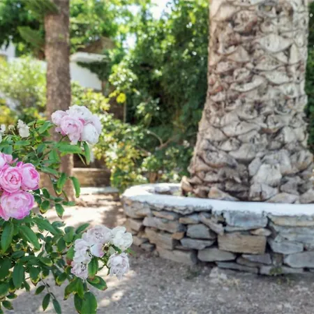 Lovely 3-bedroom House In * Tinos