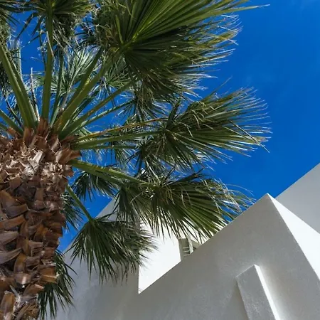 Lovely 3-bedroom House In Tinos
